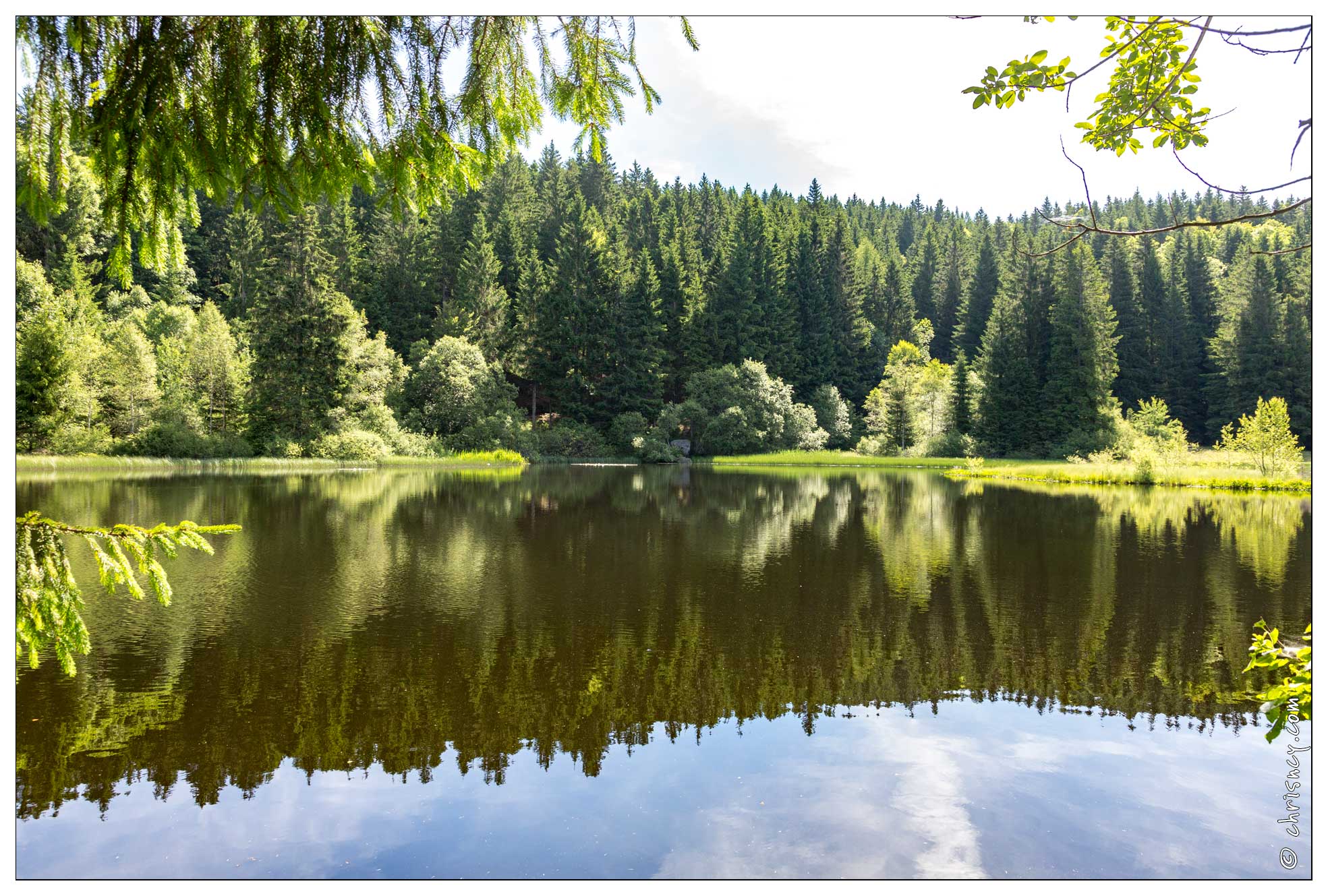 20170616-09_1686-La_Bresse_Etang_de_Xauxonfaing.jpg