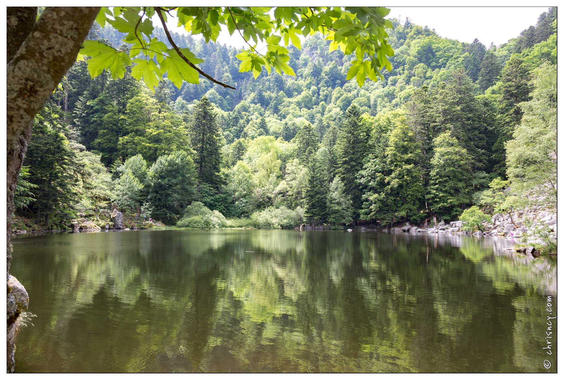 20170617-02_1784-Lac_de_Fischboedle.jpg