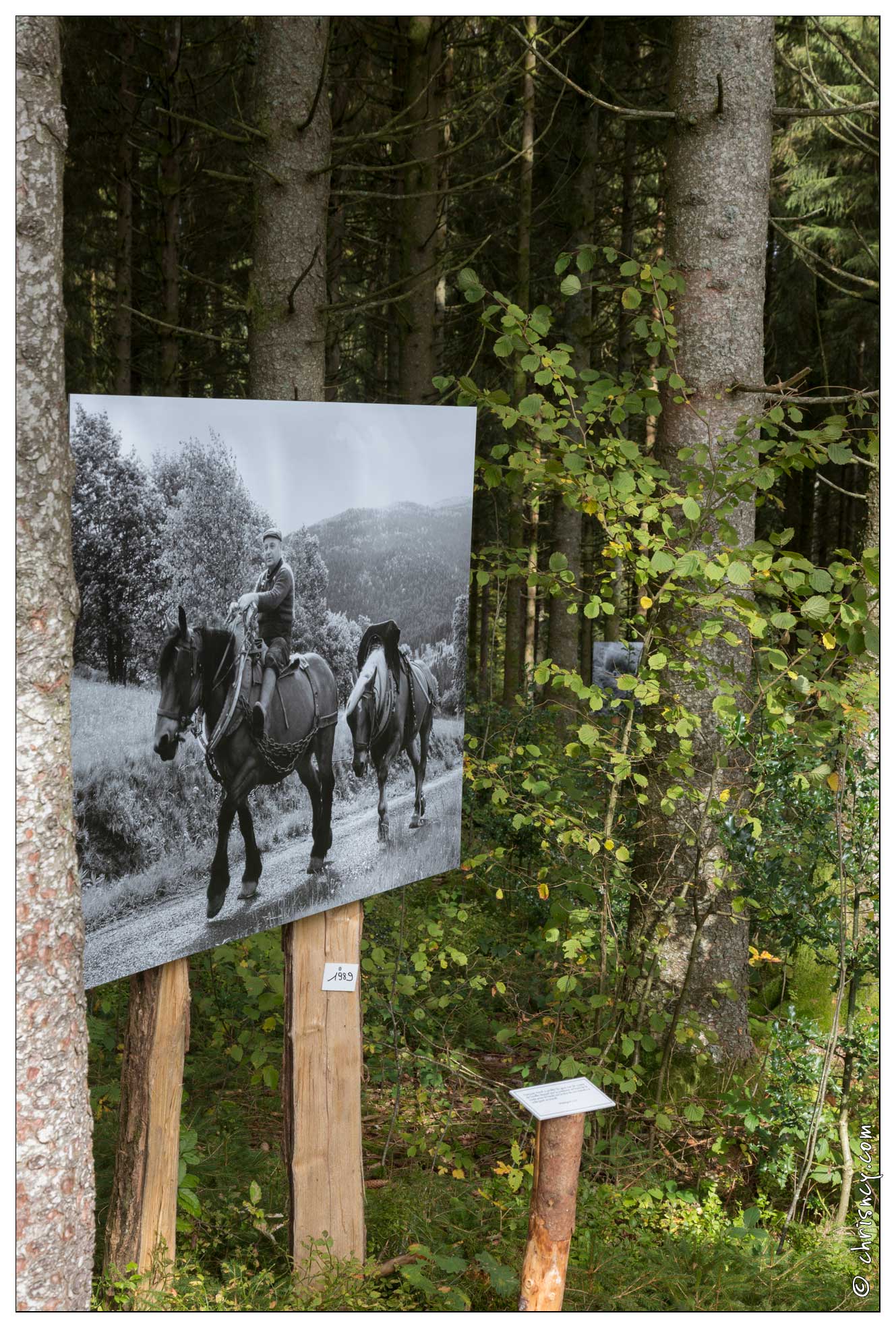 20171007-13 5069-le Haut du Tot Les Jardins de Bernadette - 20171007-13_5069-le_Haut_du_Tot_Les_Jardins_de_Bernadette.jpg 20171007-13_5069-le_Haut_du_Tot_Les_Jardins_de_Bernadette.jpg