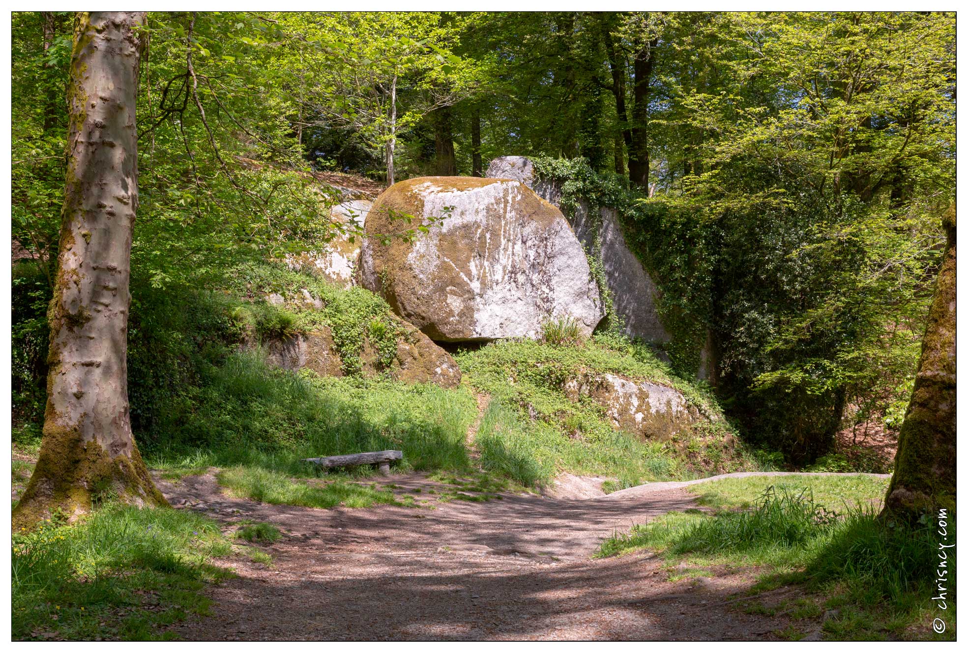 20180506-048_7326-Huelgoat.jpg