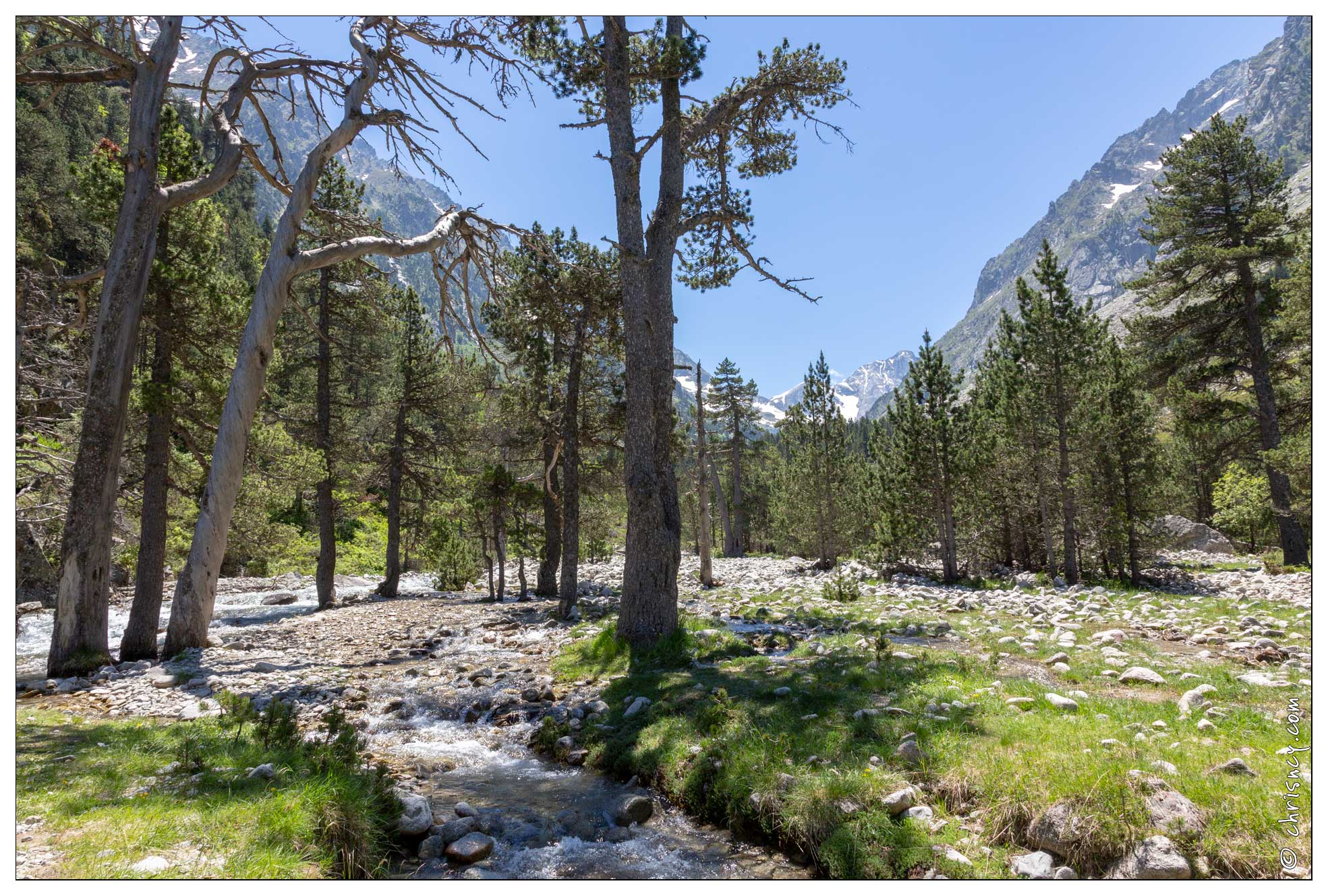 20180626-028_1308-Au_lac_de_Gaube.jpg