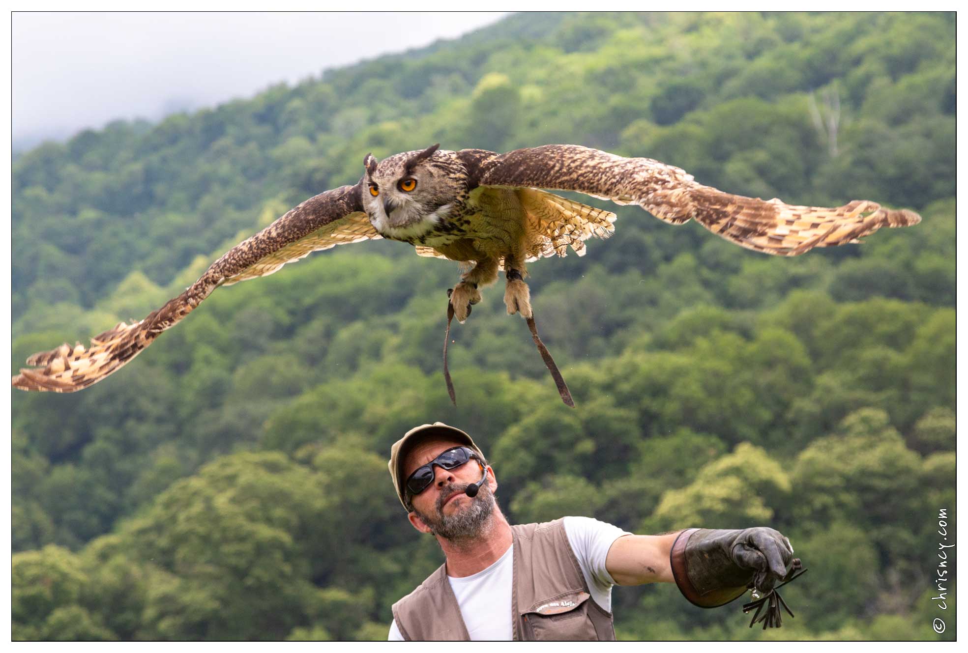 20180629-059_1671-Hibou_Grand_Duc_Beaucens_Donjon_des_aigles.jpg