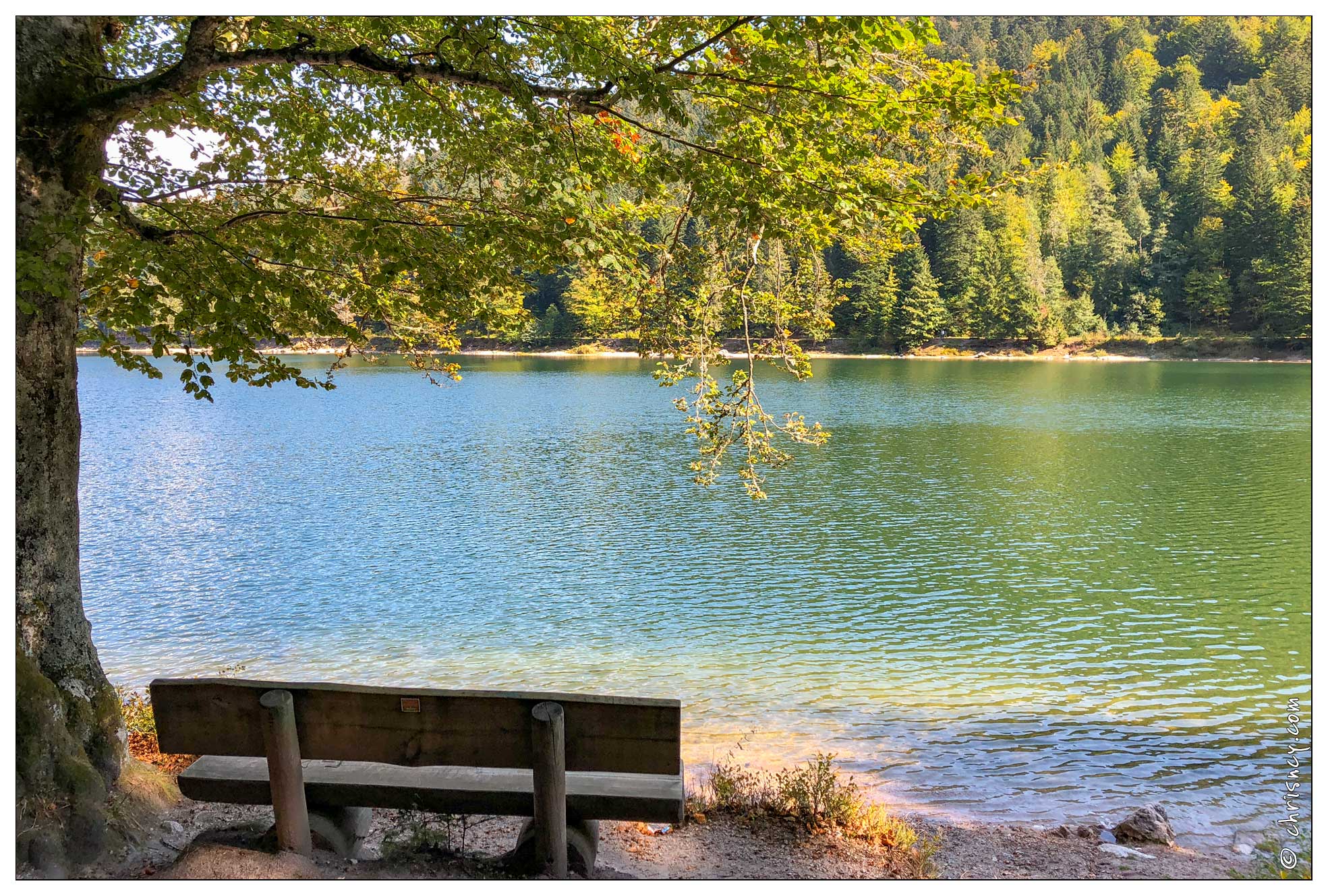 20180930-4490-La Bresse Lac des Corbeaux - 20180930-4490-La_Bresse_Lac_des_Corbeaux.jpg 20180930-4490-La_Bresse_Lac_des_Corbeaux.jpg
