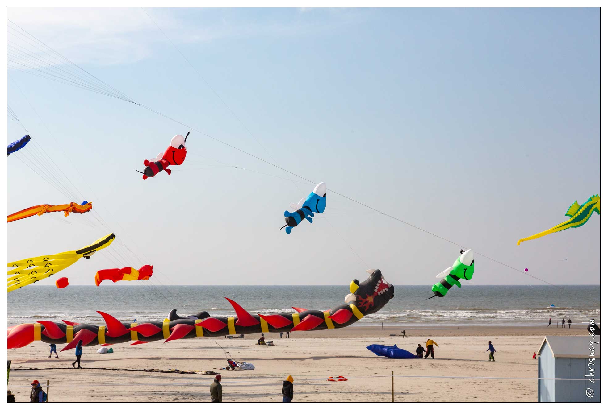 20190410-06_5285-Berck.jpg