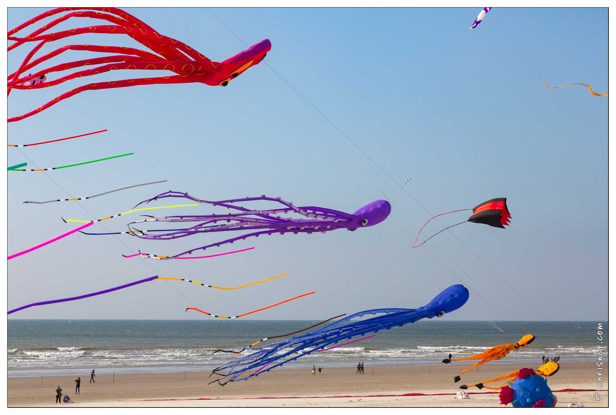 20190410-14_5294-Berck.jpg