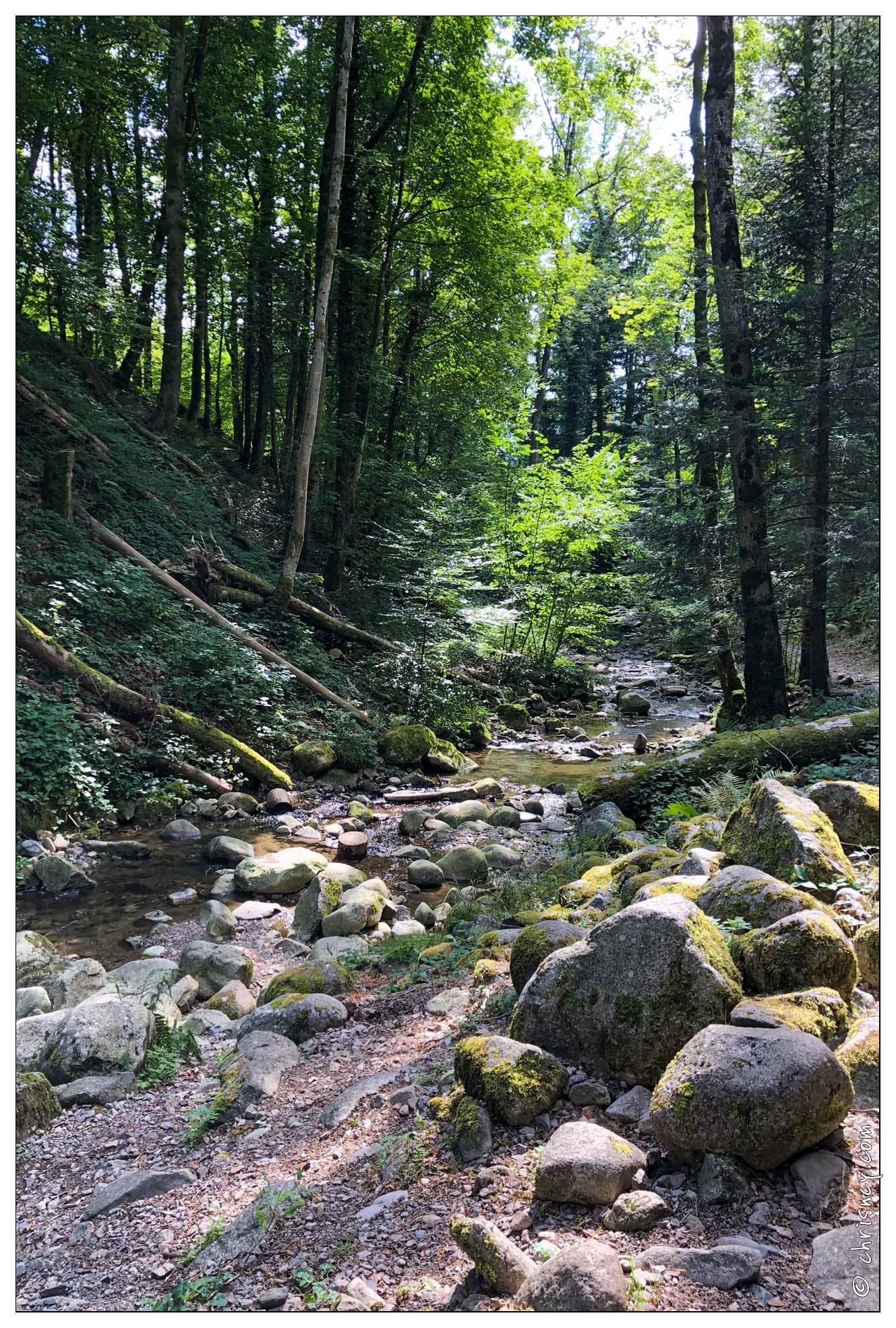 20190902-07 8453-Wildenstein Cascade de Heidenbad - 20190902-07_8453-Wildenstein_Cascade_de_Heidenbad.jpg 20190902-07_8453-Wildenstein_Cascade_de_Heidenbad.jpg