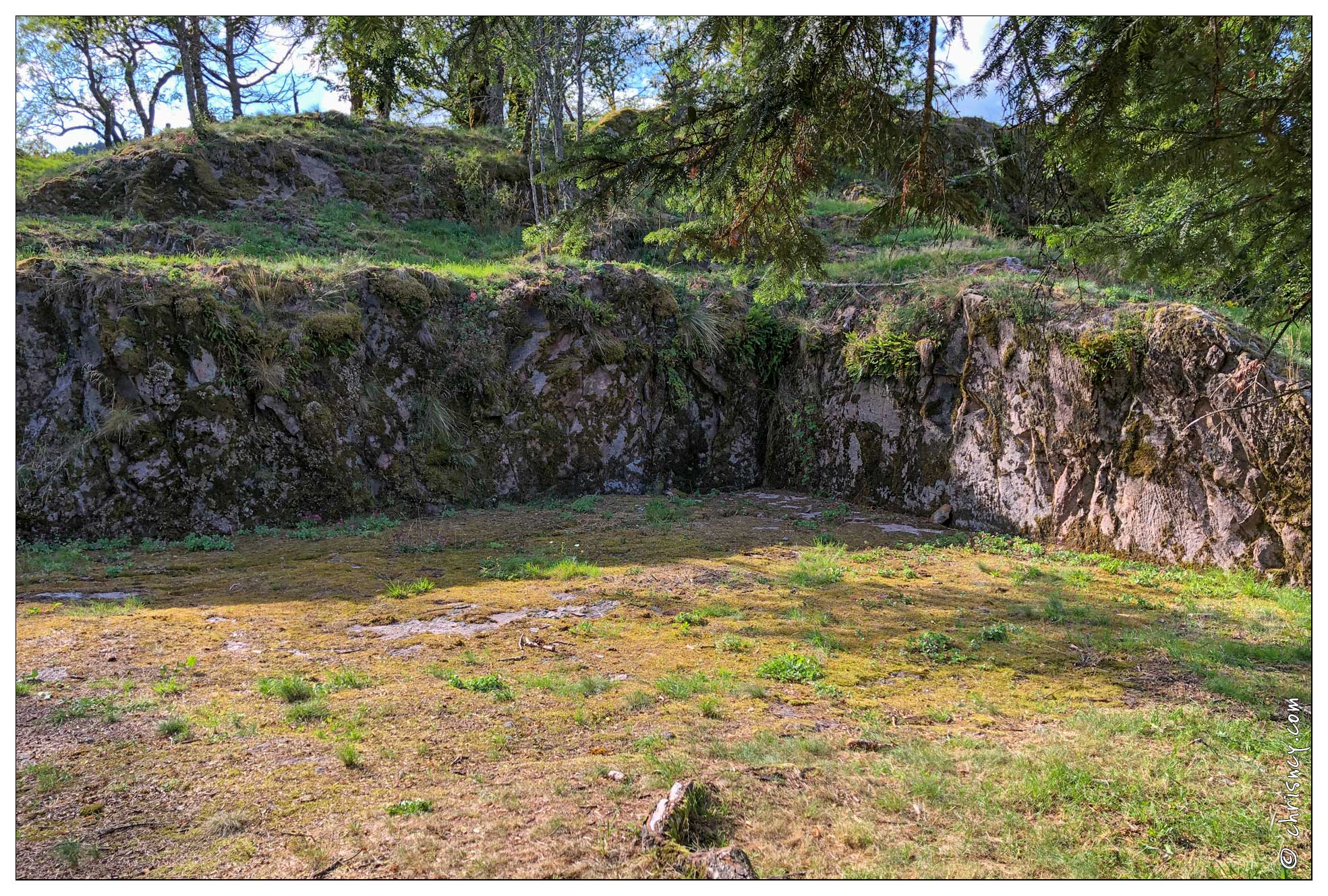 20190902-25_8494-Balade_Ruines_chateau_Wildenstein.jpg