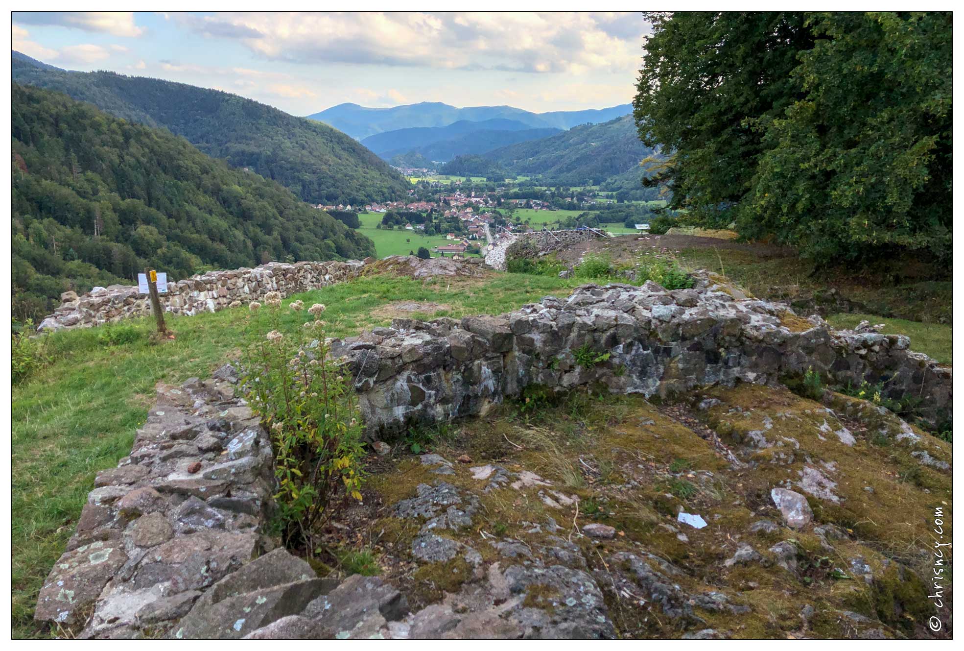 20190902-26_8488-Balade_Ruines_chateau_Wildenstein.jpg