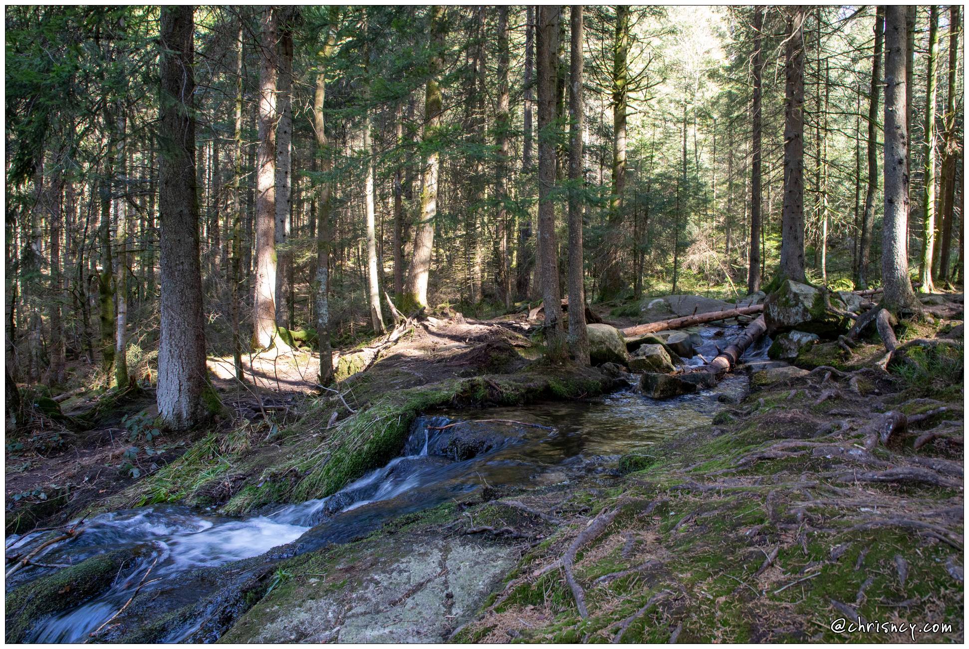 20210302-36_5875-Cascade_de_la_Pissoire_.jpg