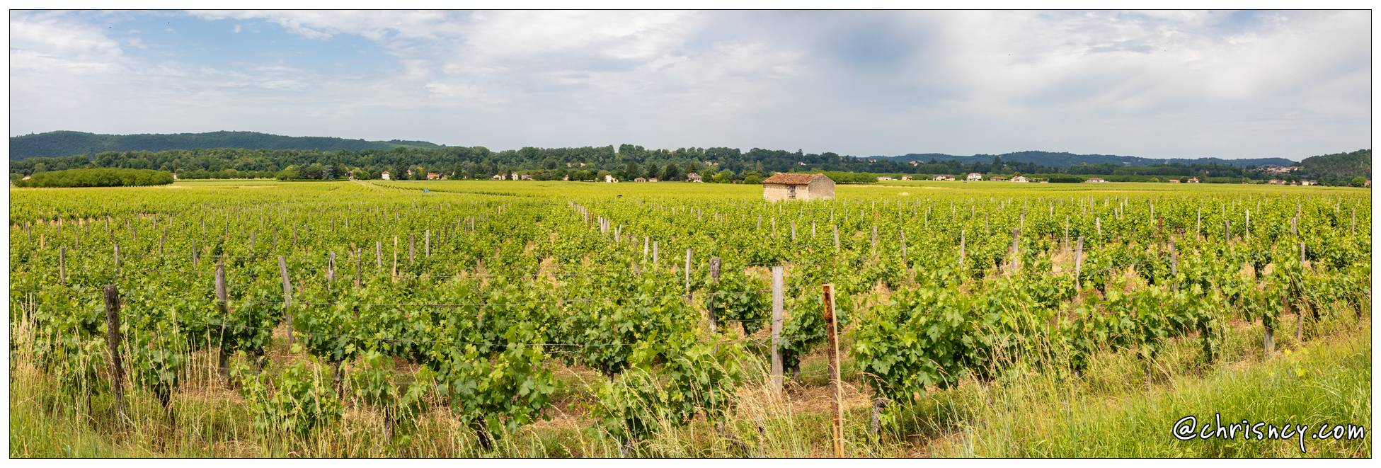 20210616-20_7981-Anglars_Juillac_le_vignoble_Pano.jpg