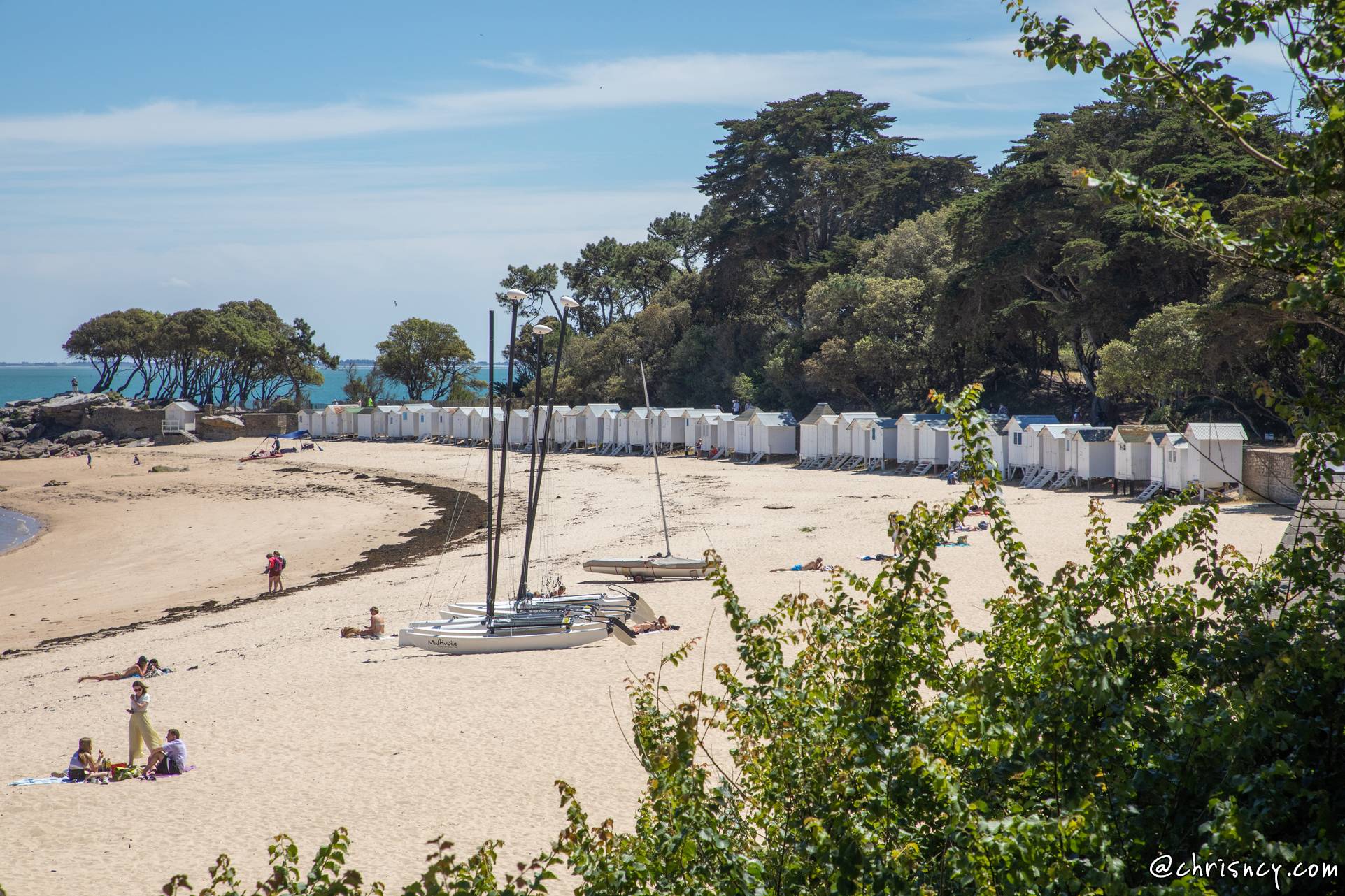 20220531-28_2704-Noirmoutier_en_l_ile_Bois_de_la_Chaize.jpg