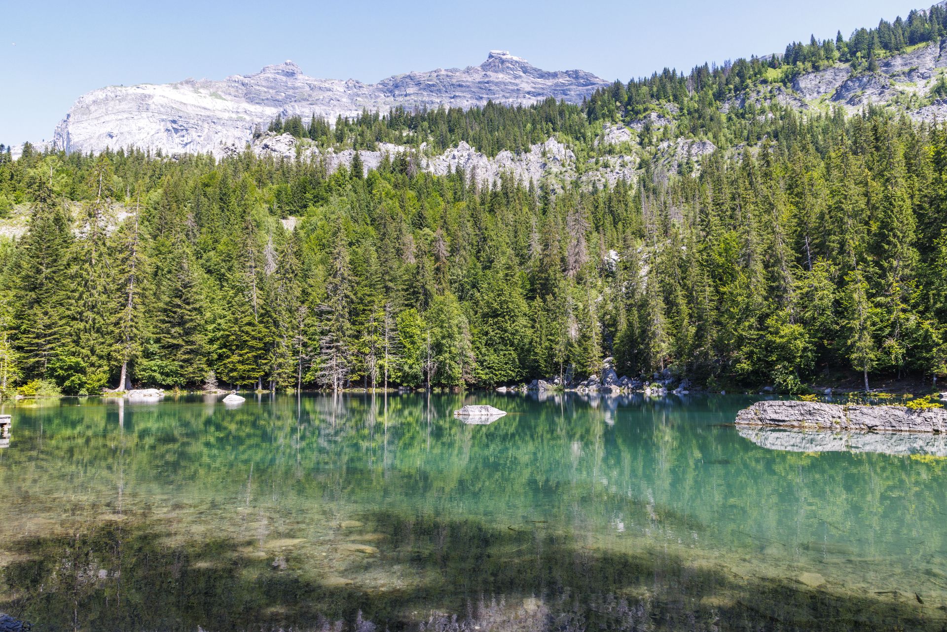 20230626-11_7481-Plaine_Joux_au_Lac_Vert.jpg