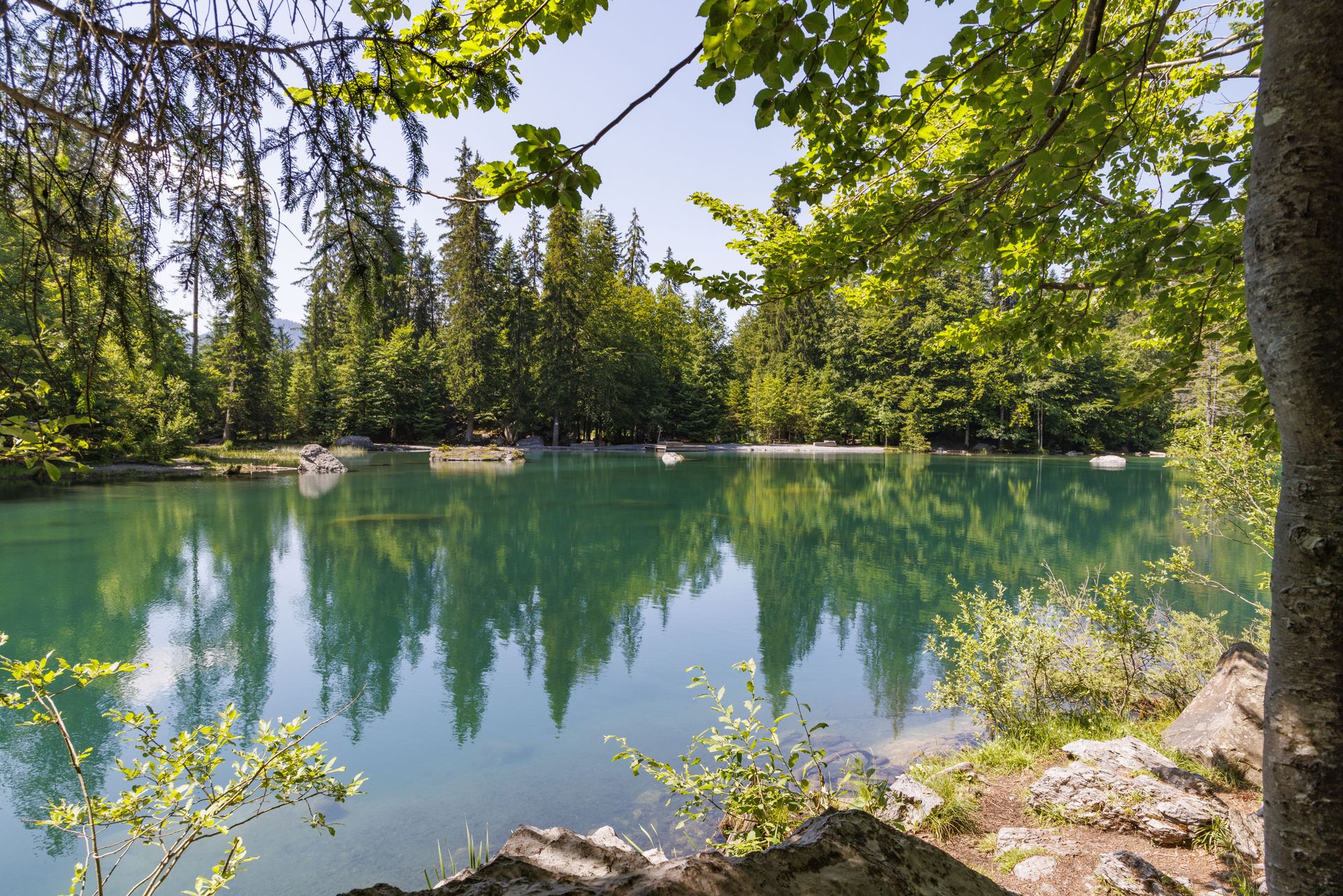 20230626-16_7491-Plaine_Joux_au_Lac_Vert.jpg