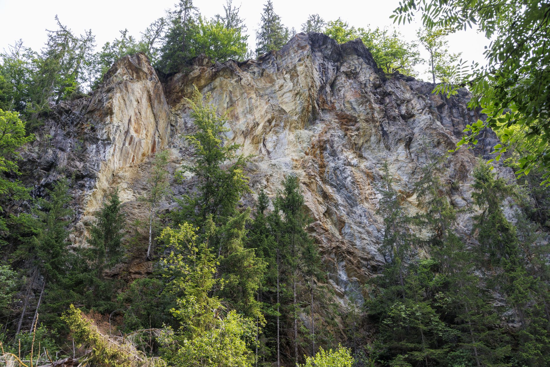 20230627-7572-Gorges_de_la_Dioraz_Servoz_Falaise_de_schiste.jpg