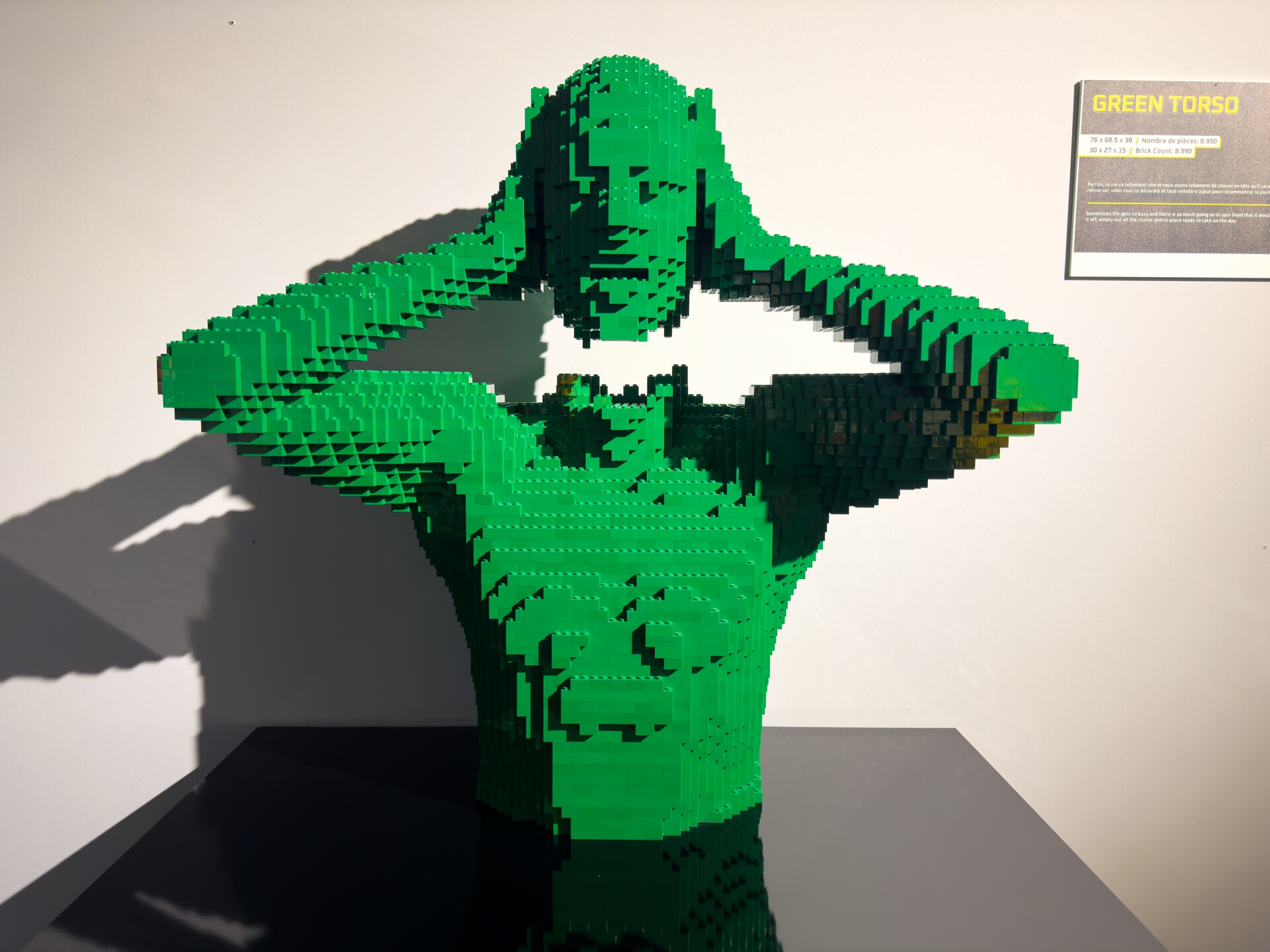 20240325-3002-Paris_expo_lego_green_torso.jpg