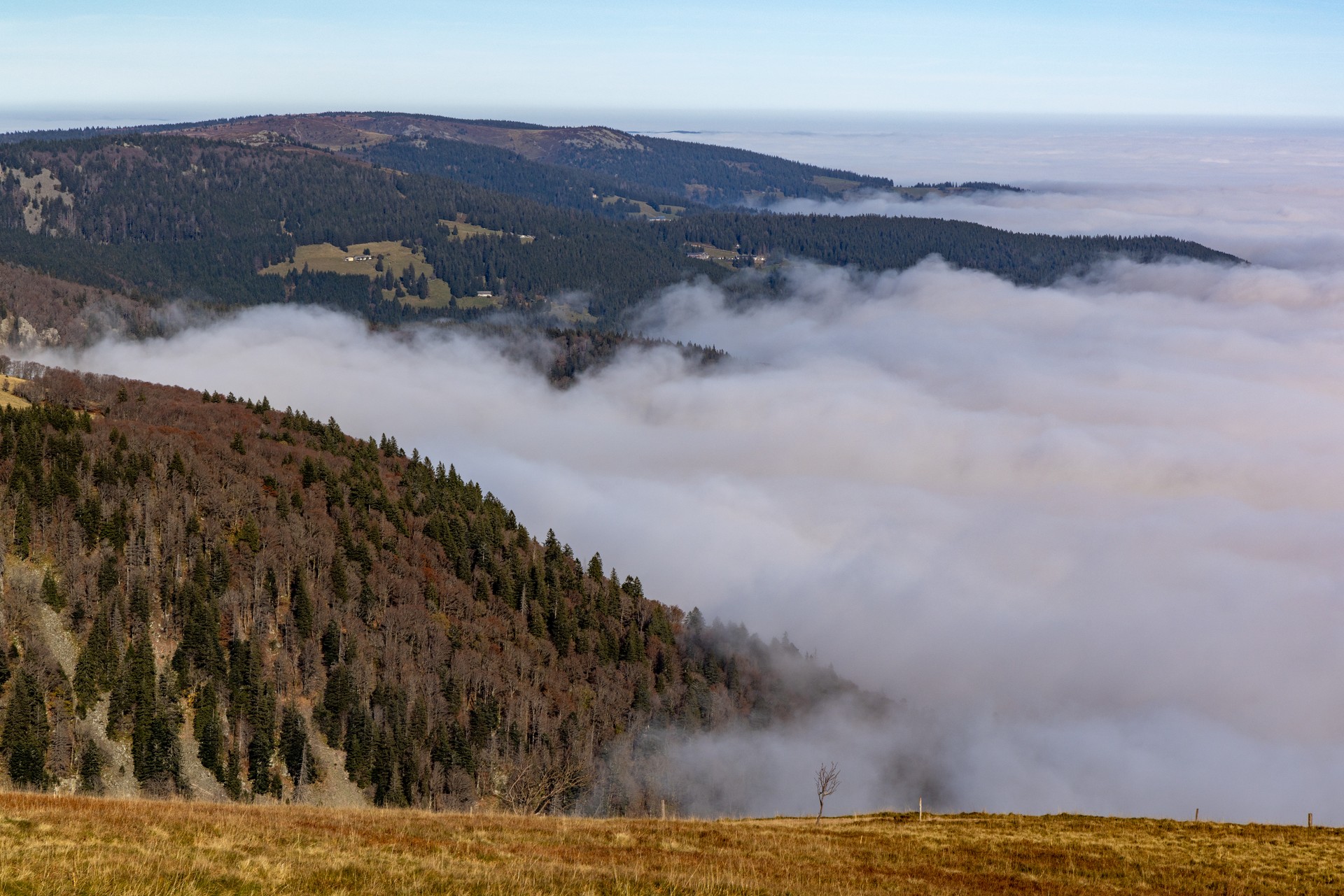 20241102-24_4230-Hohneck_mer_de_nuages.jpg